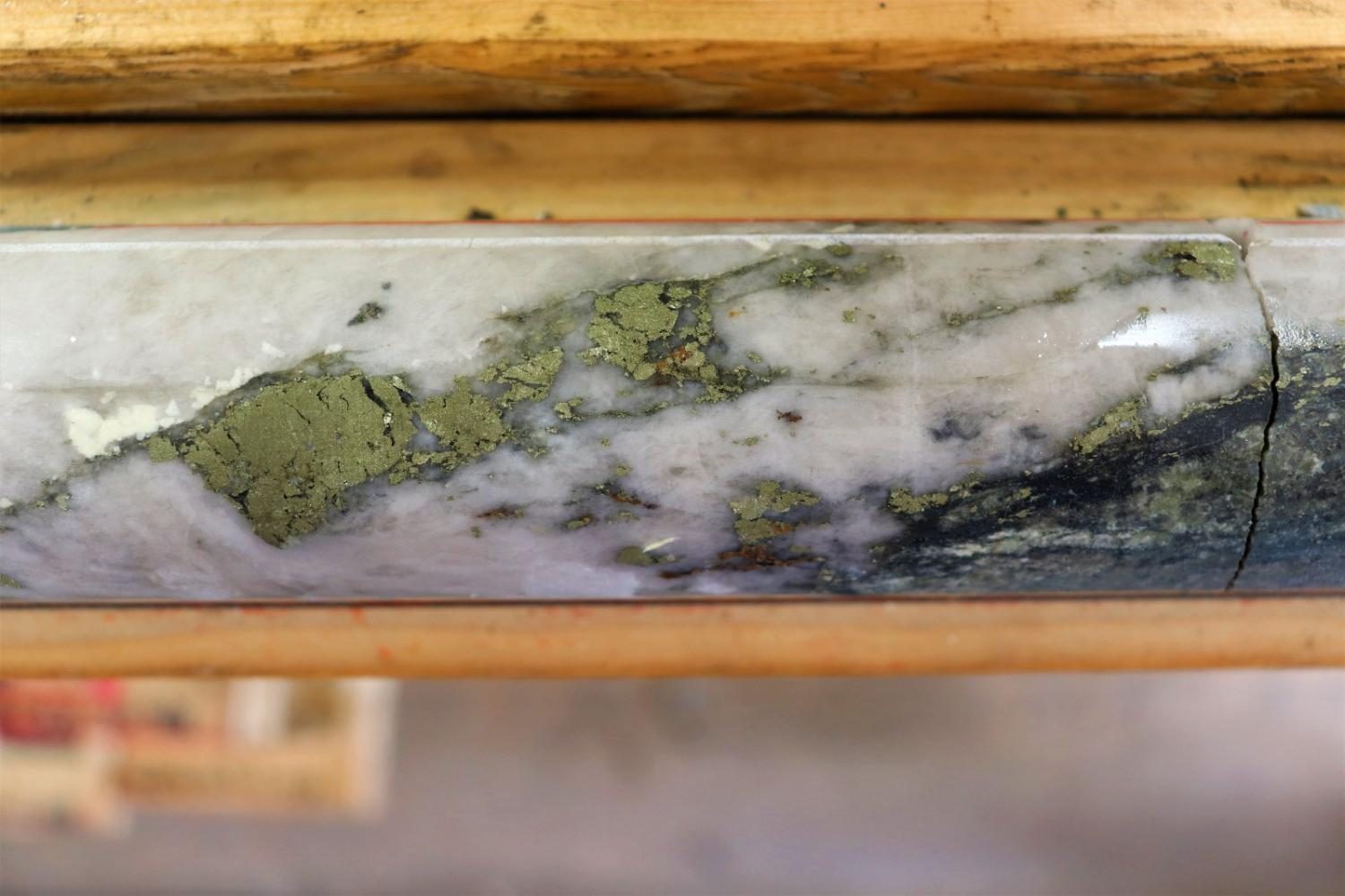 Abundant coarse pyrite through a white quartz vein in the mineralized zone