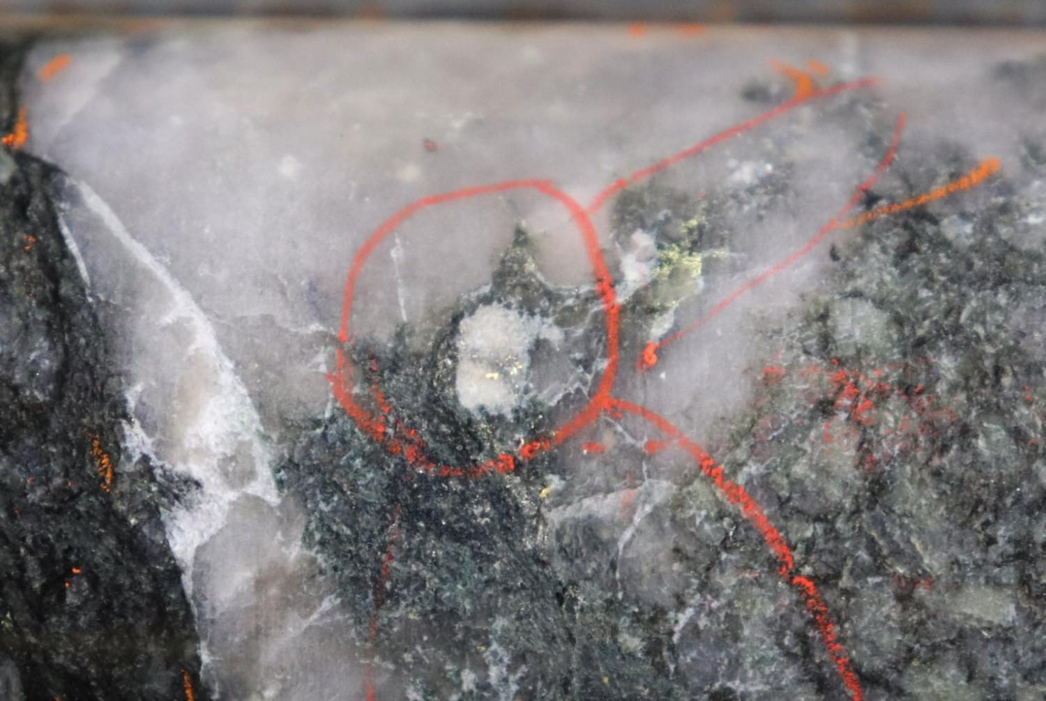 A milky white quartz vein carrying visible gold, flagged in the core box