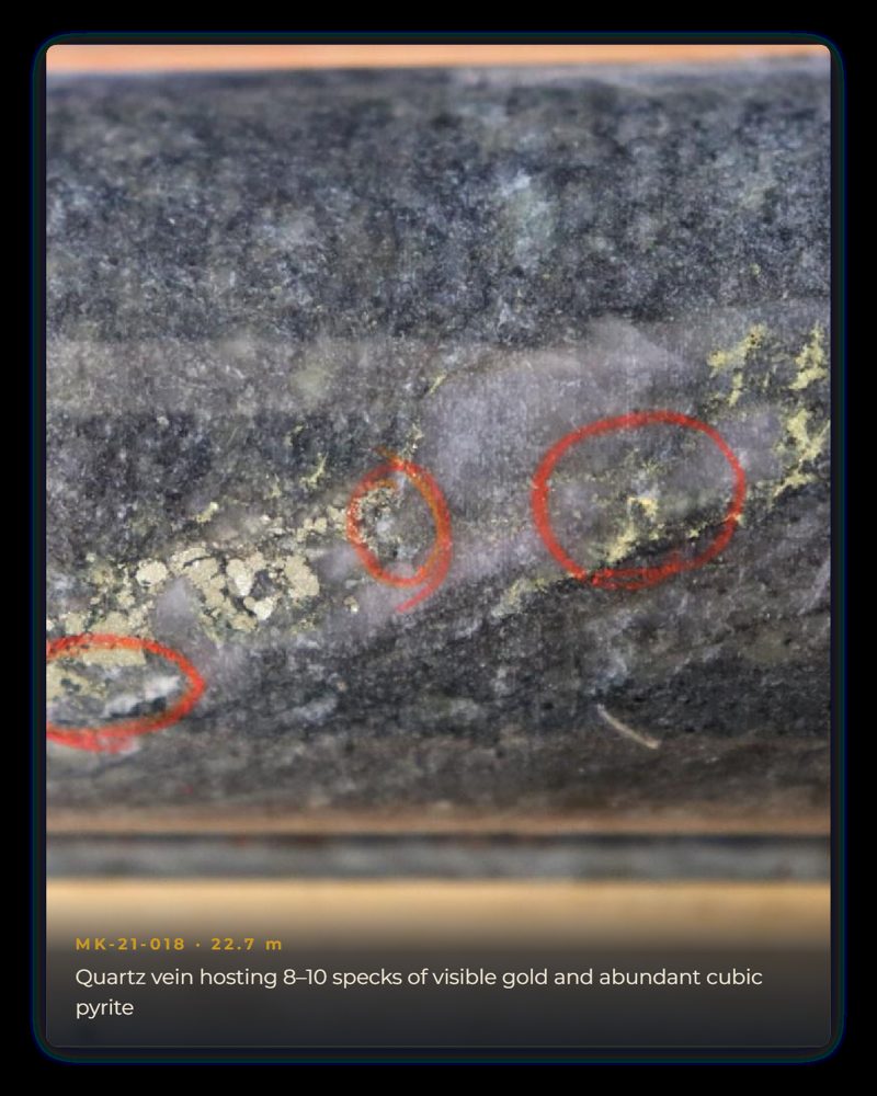 Quartz vein in drill core hosting visible gold